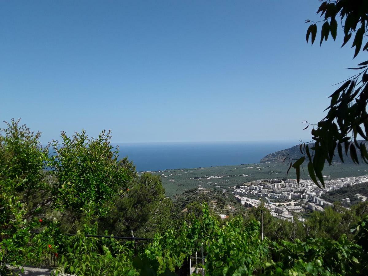 B&B La Scapola Матината Екстериор снимка