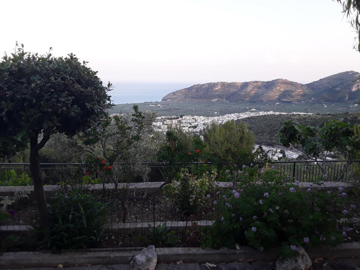 B&B La Scapola Матината Екстериор снимка